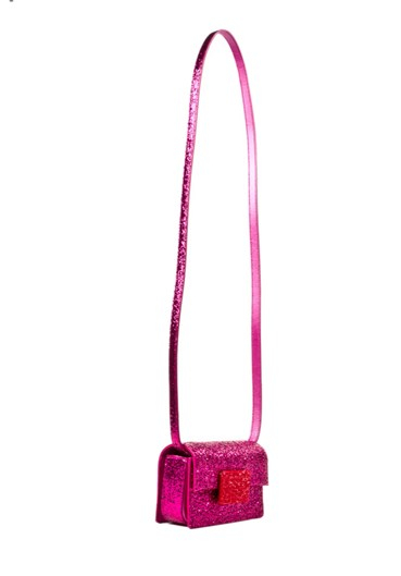 lady dior rose des vents