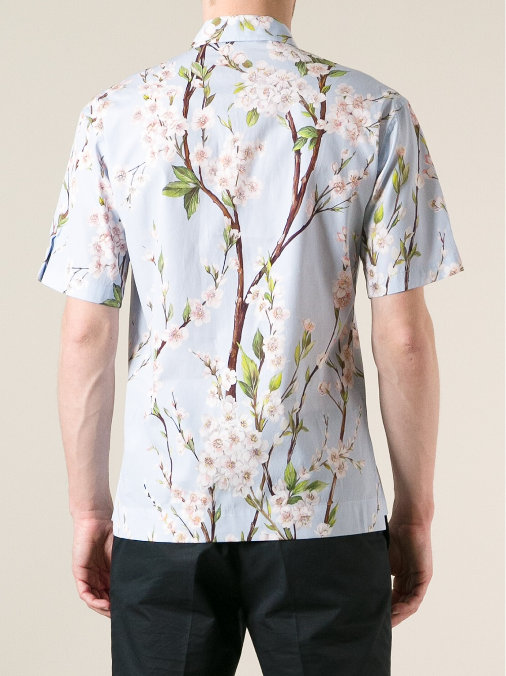Dolce \u0026 Gabbana Cherry Blossom Print 
