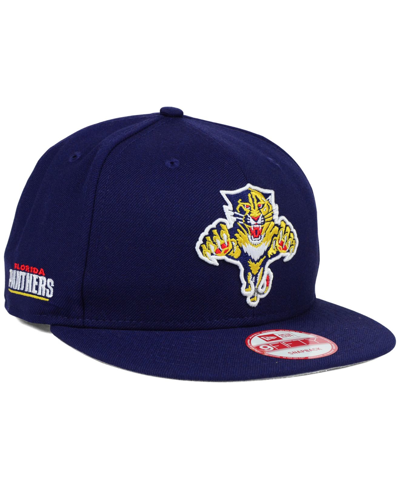 VINTAGE FLORIDA PANTHERS SNAPBACK HAT CAP THE GAME