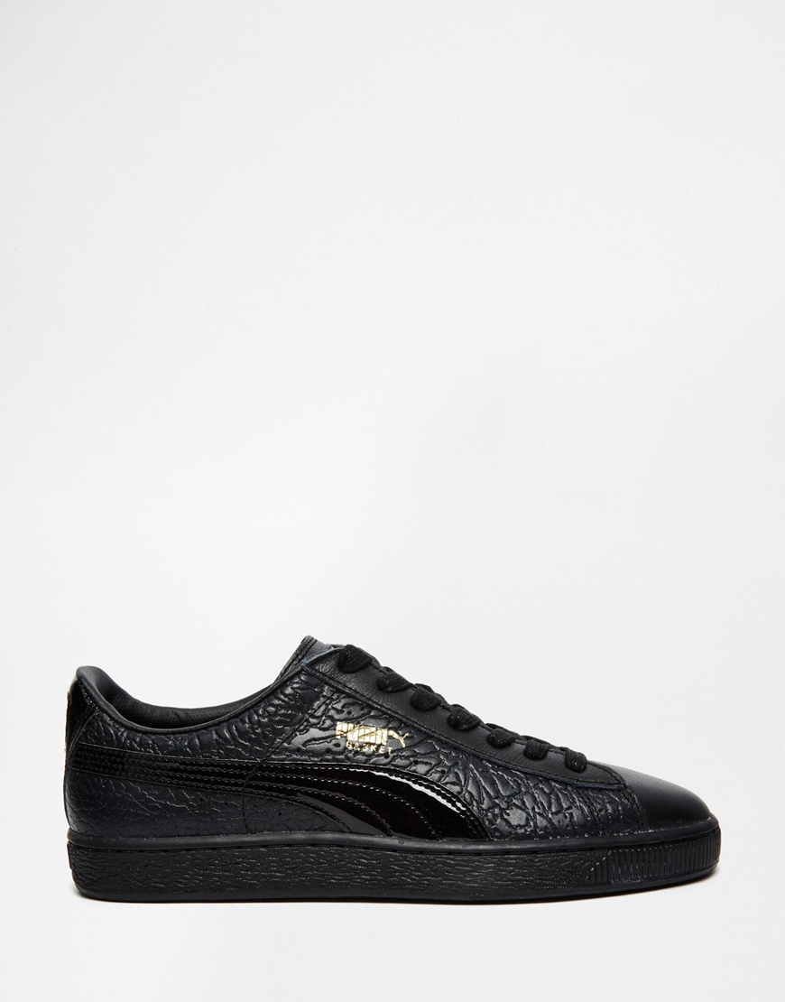puma crocodile puma crocodile