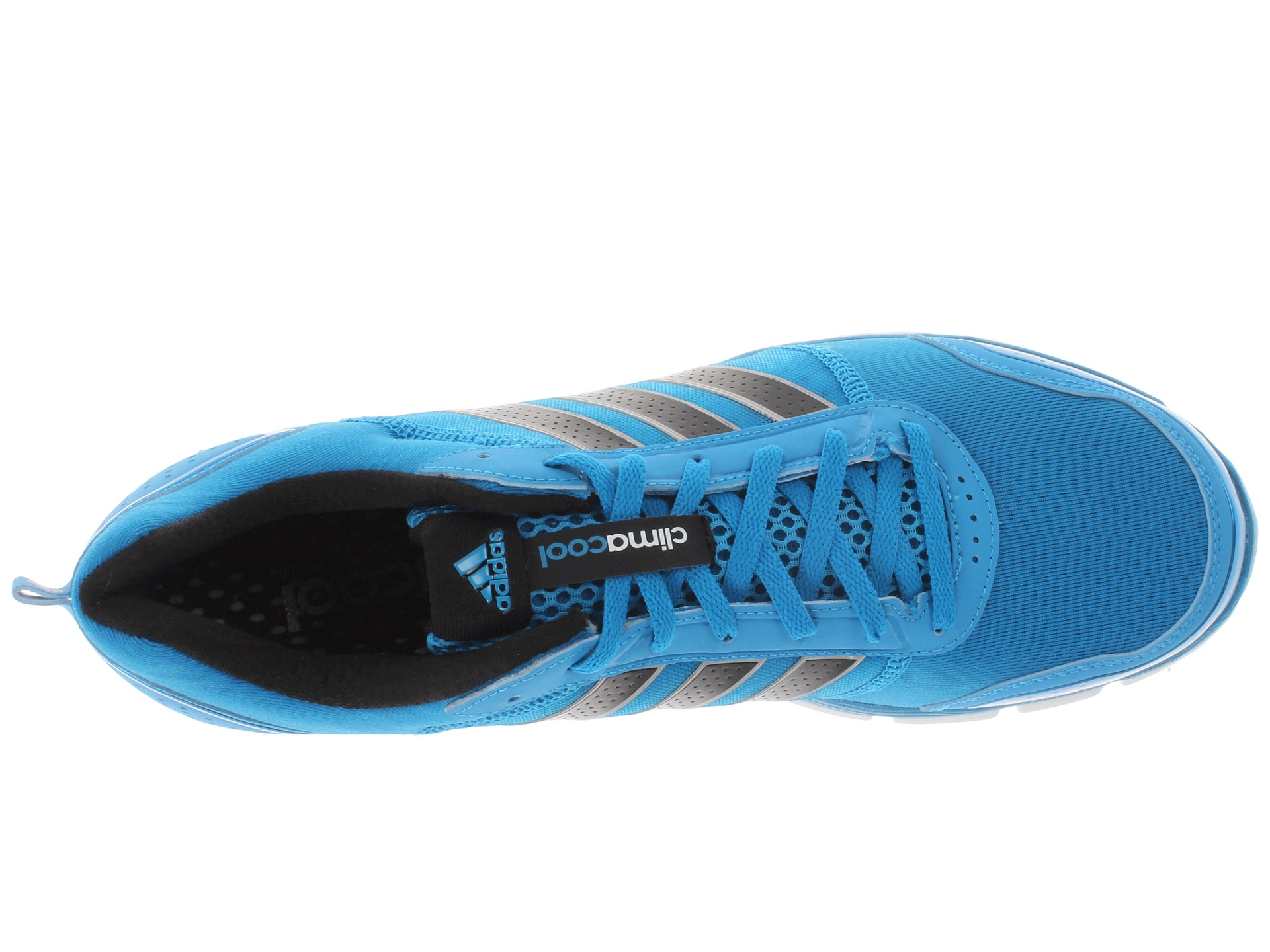 blue climacool trainers