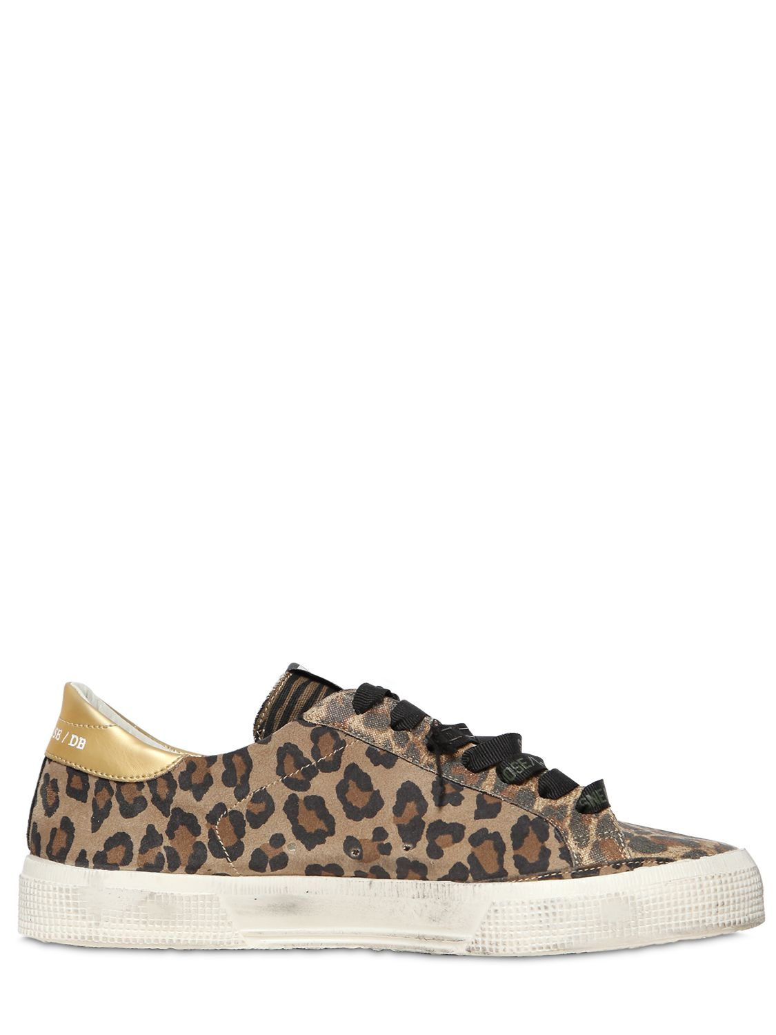 golden goose may leopard