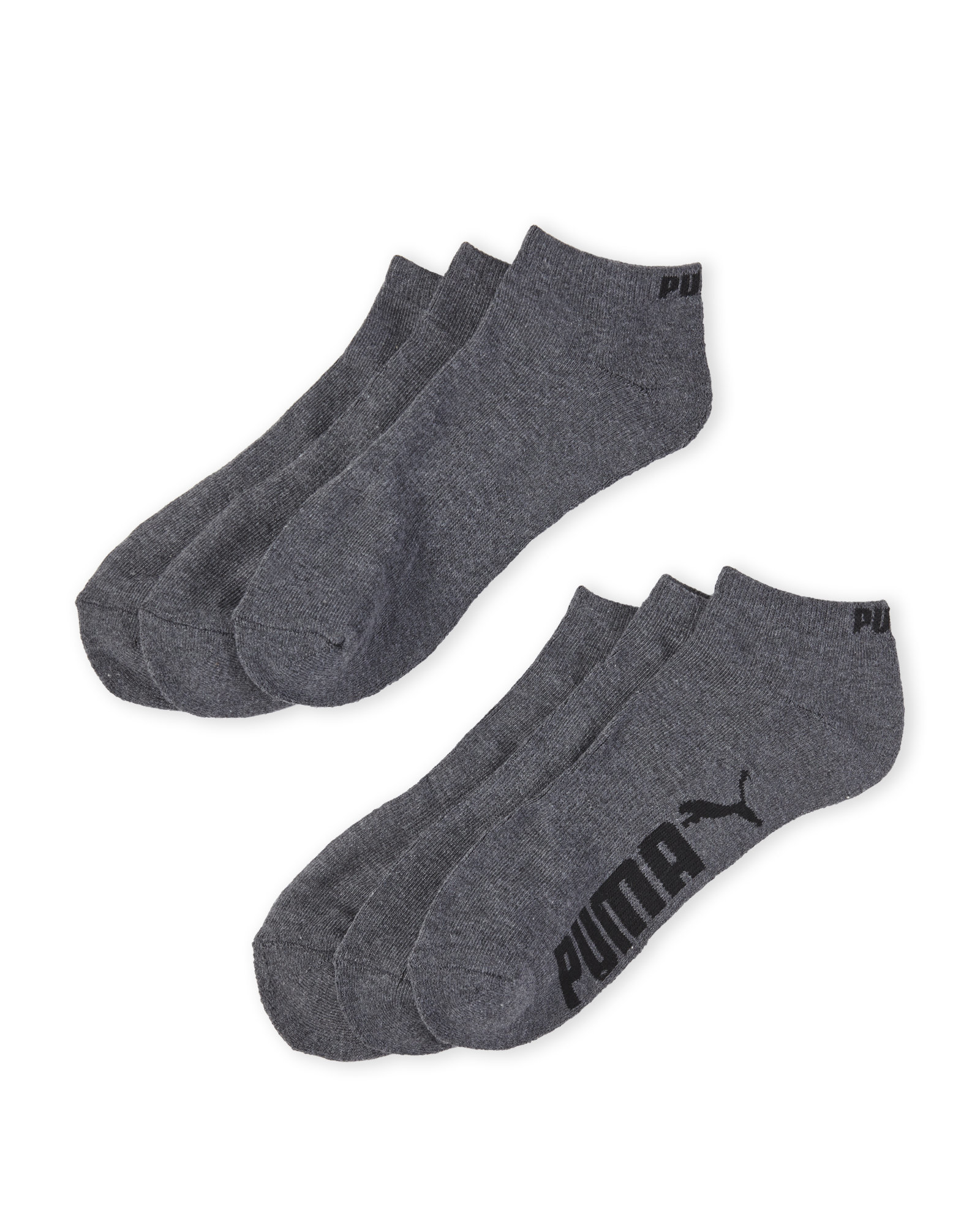 Pack Logo Accent Low Cut Socks in Grey 