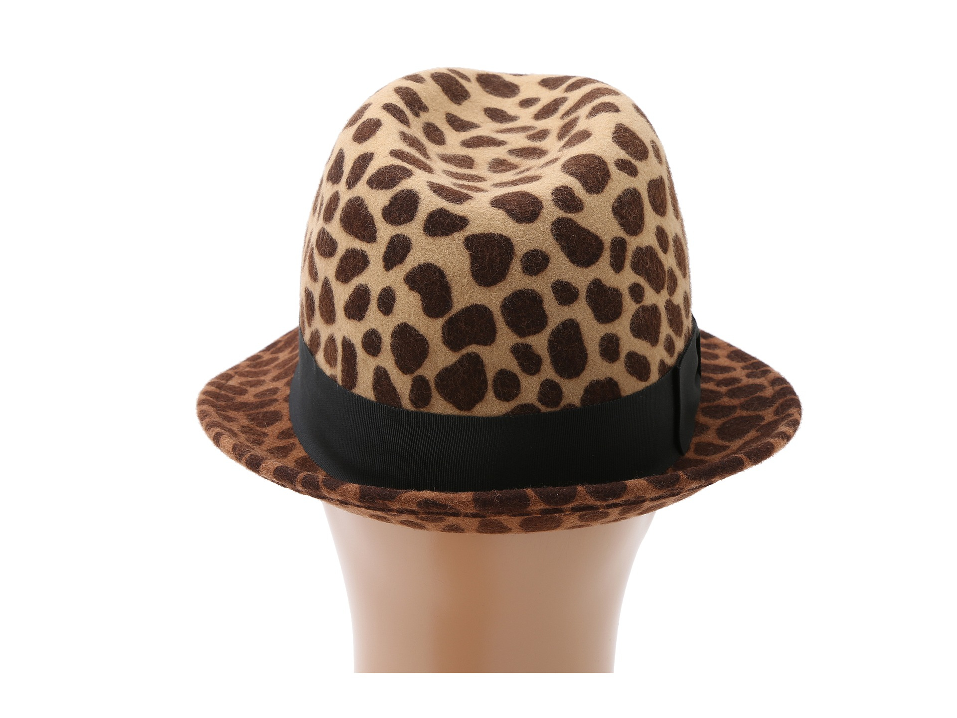 leopard fedora wool felt hat attack lyst