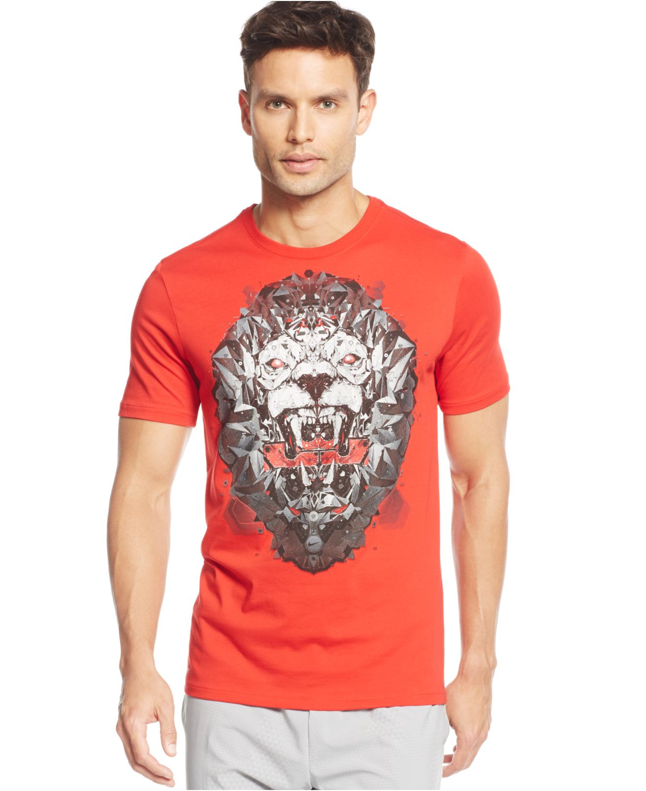 lebron lion t shirt