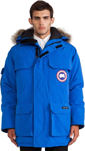 Canada Goose Polar Bears International Expedition Parka With Coyote Fur ...