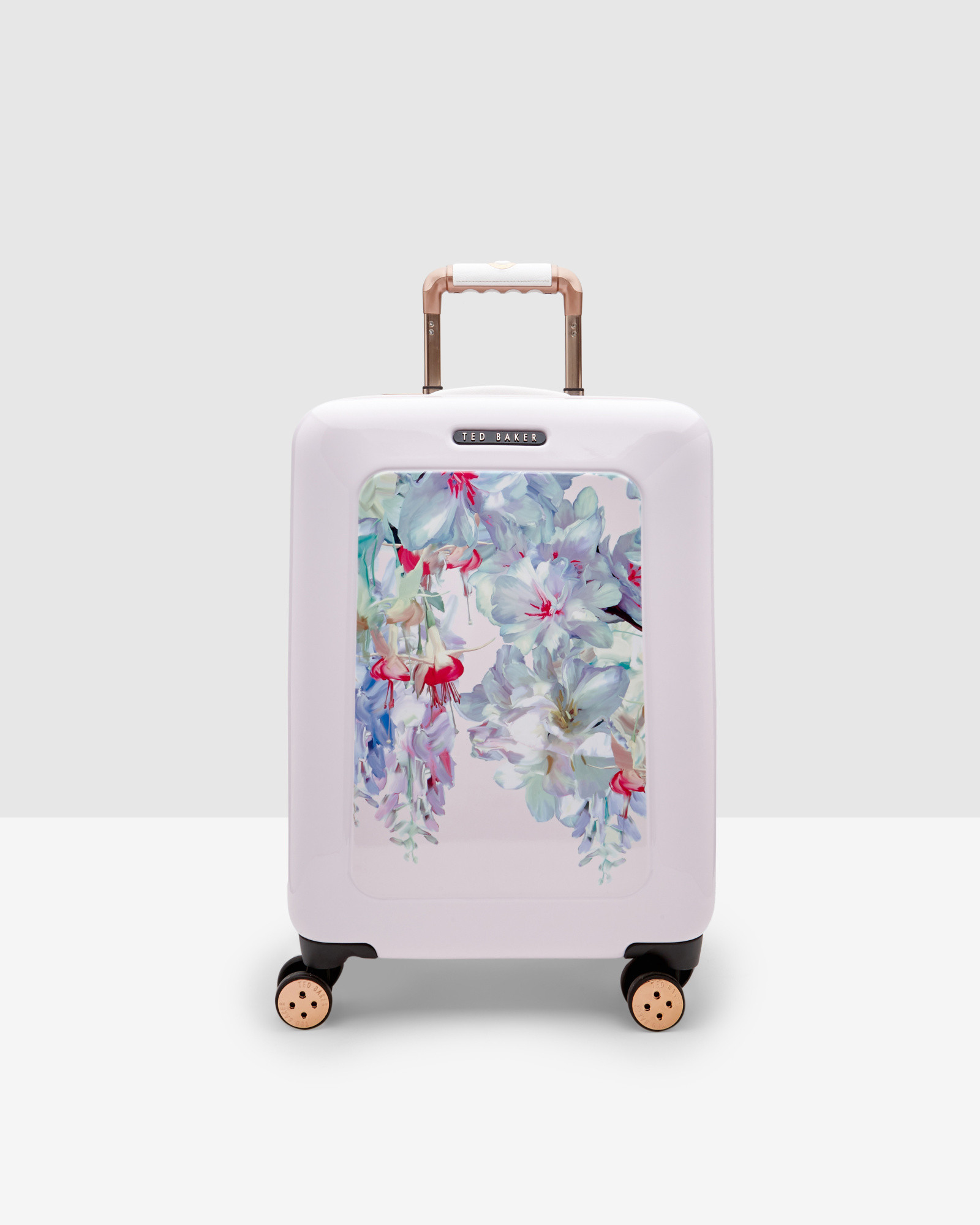 ted baker cabin bag