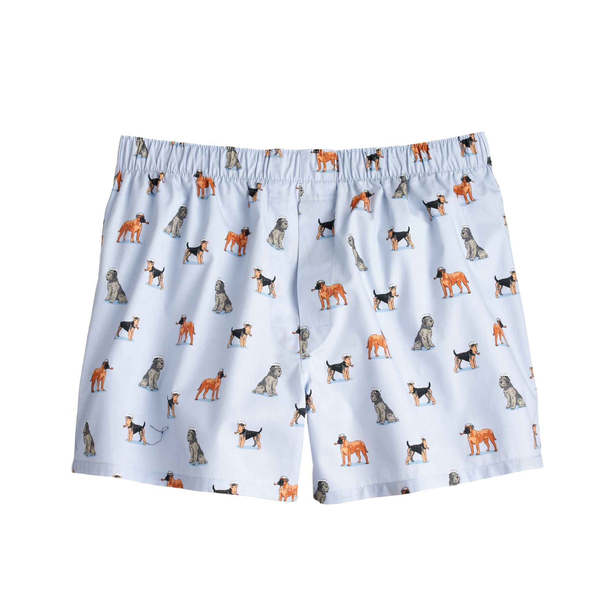 boxer dog clothing boxer dog clothing
