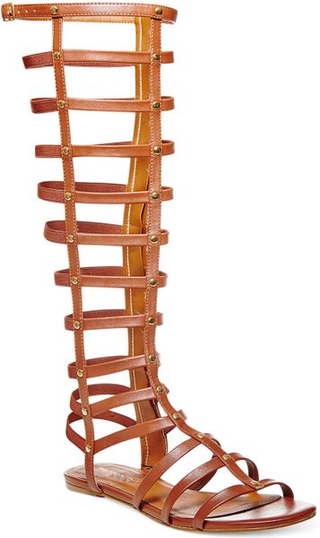 Madden Girl Amily Tall Shaft Gladiator Sandals in Brown (Cognac ...