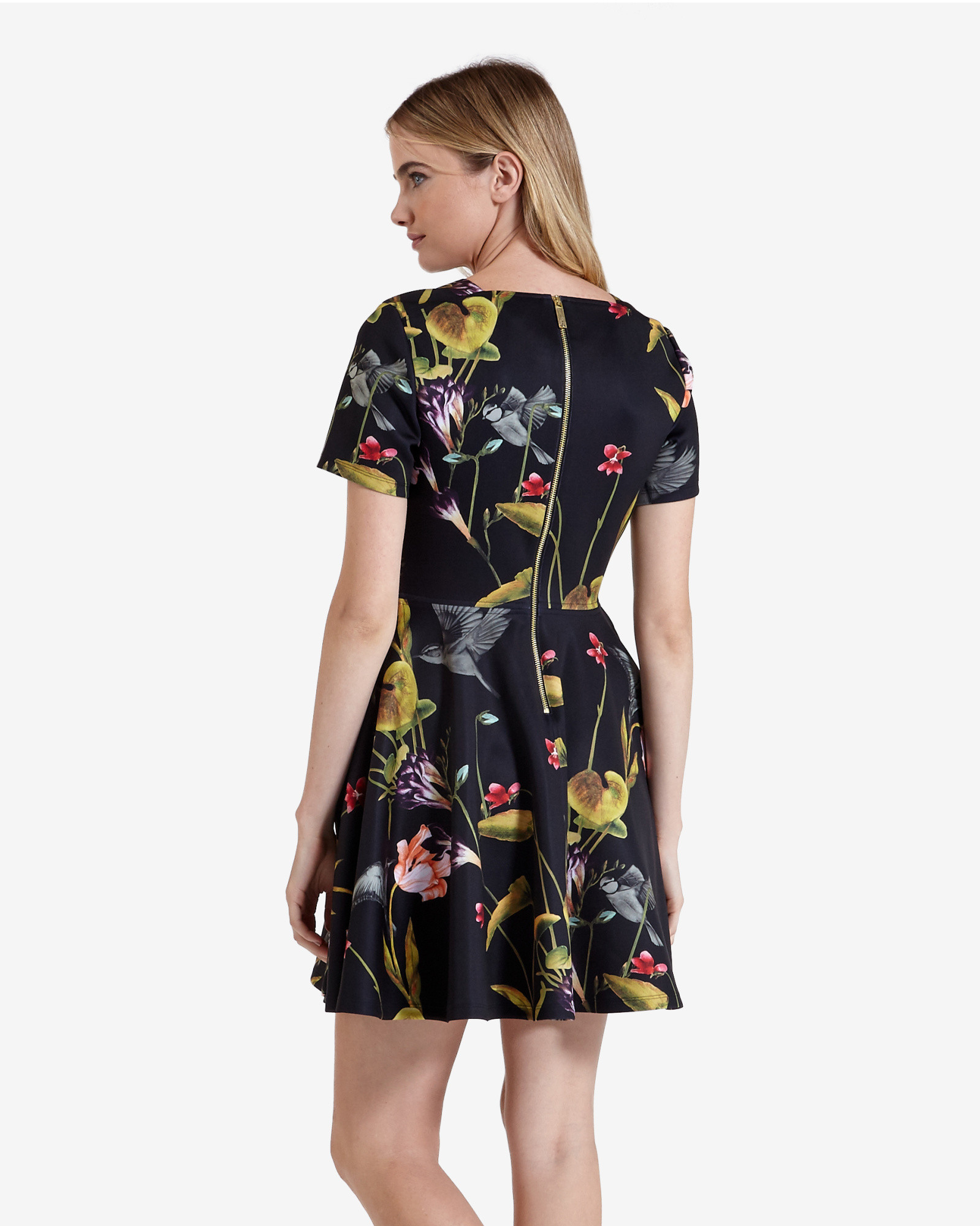 Ted Baker Oriental Floral Skater Dress In Black Lyst