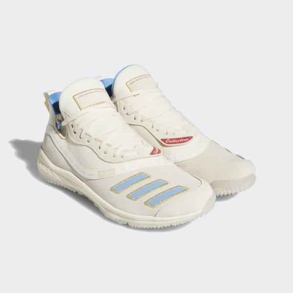 icon v trainer