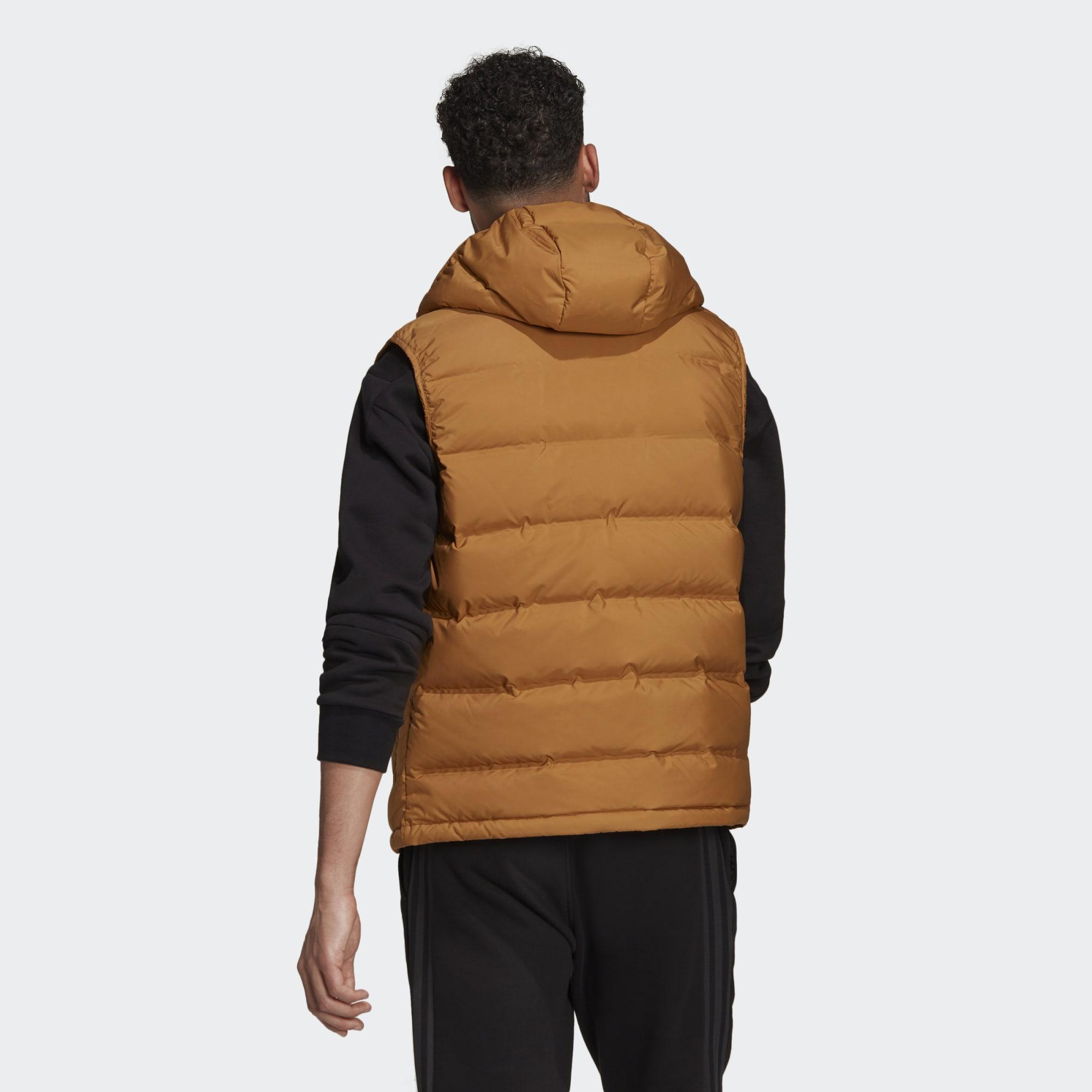 helionic hooded down vest