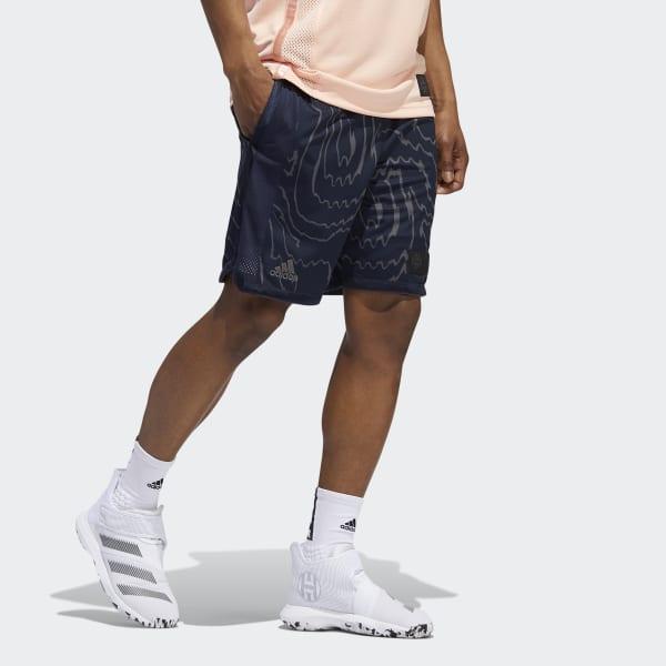 harden swagger shorts