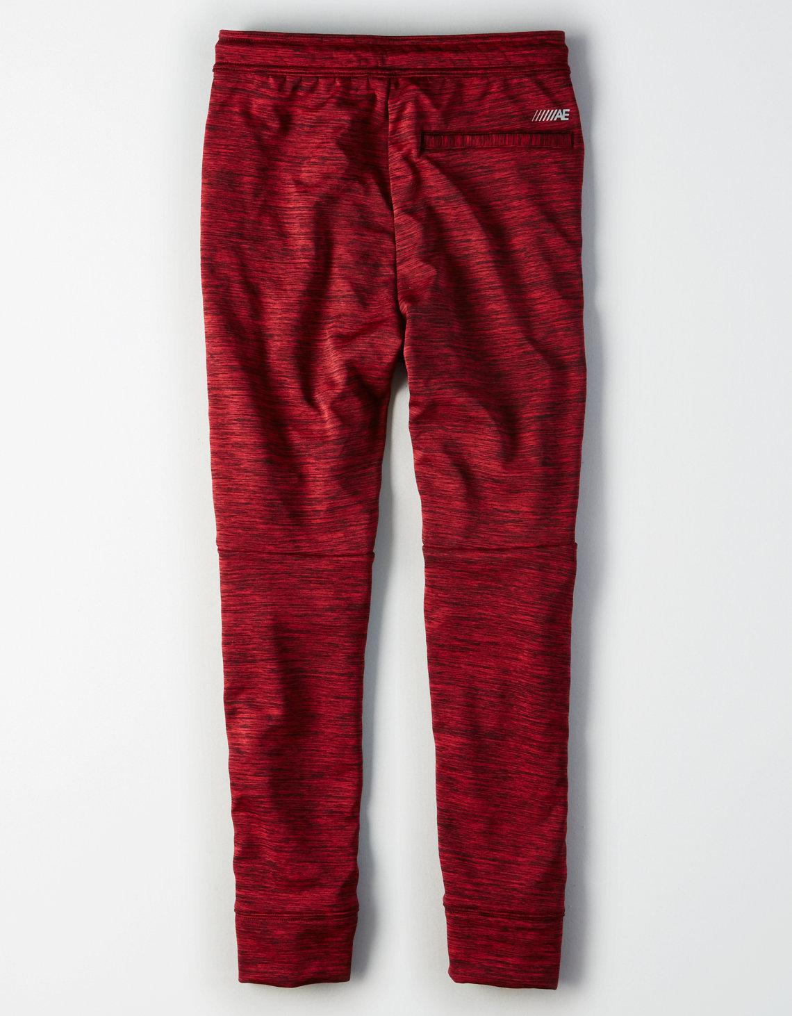 ae gridback fleece jogger