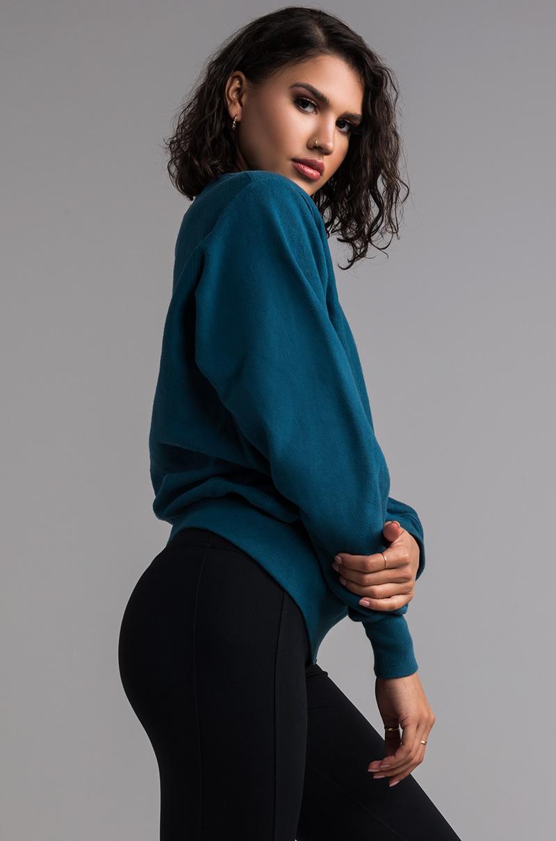 juniper blue champion hoodie