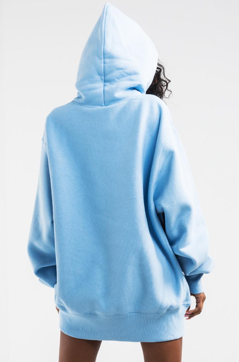 sky blue champion hoodie