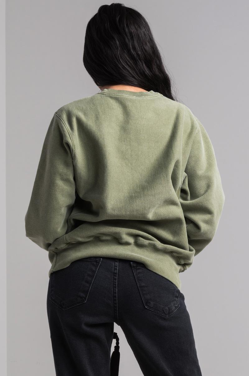 youth boys champion hoodie