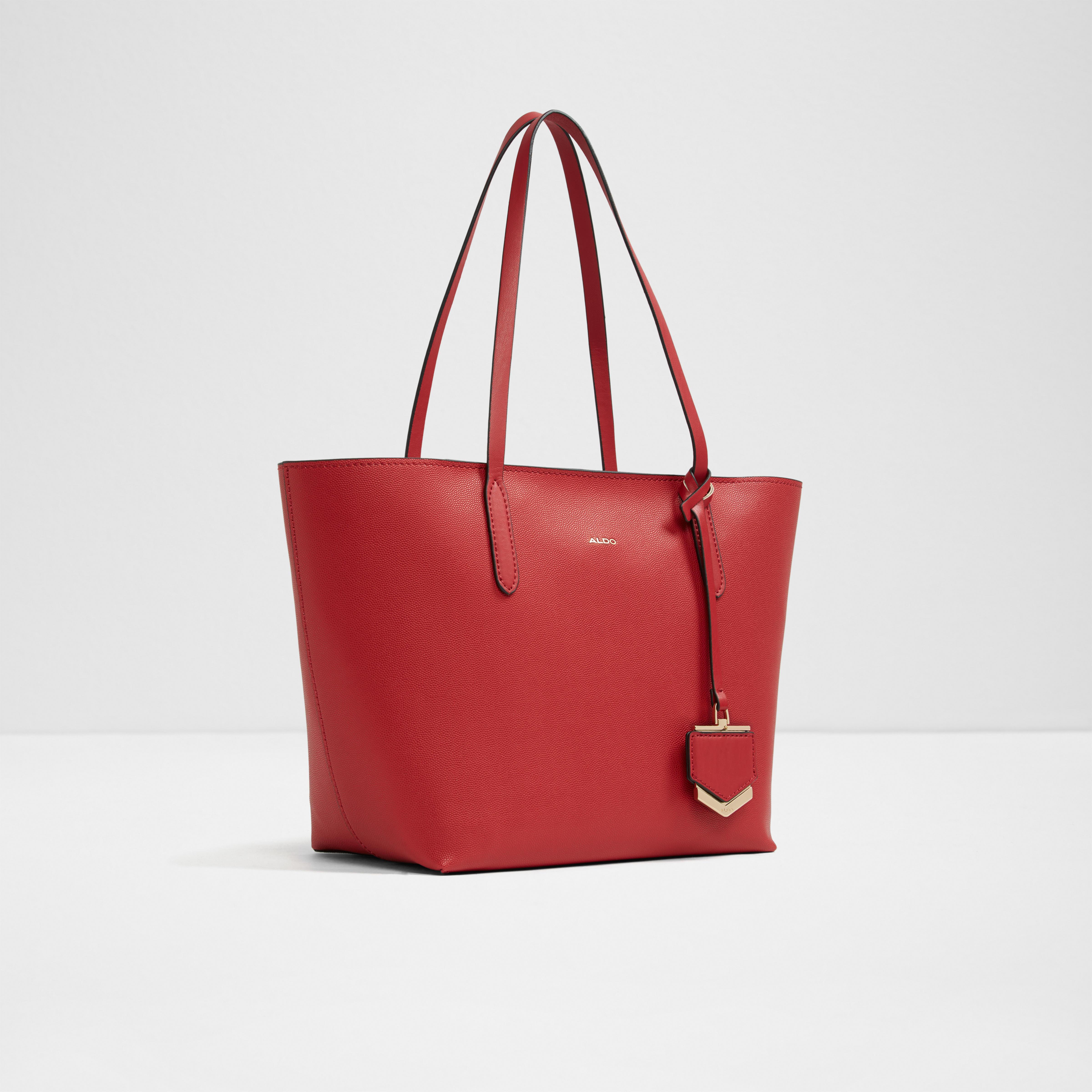 aldo dyer tote