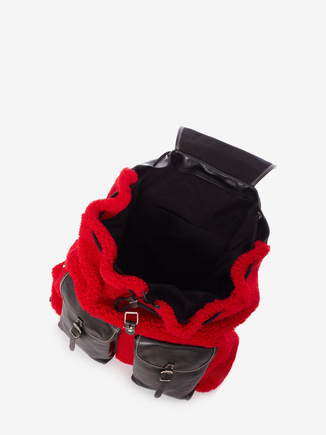 alex buckle backpack