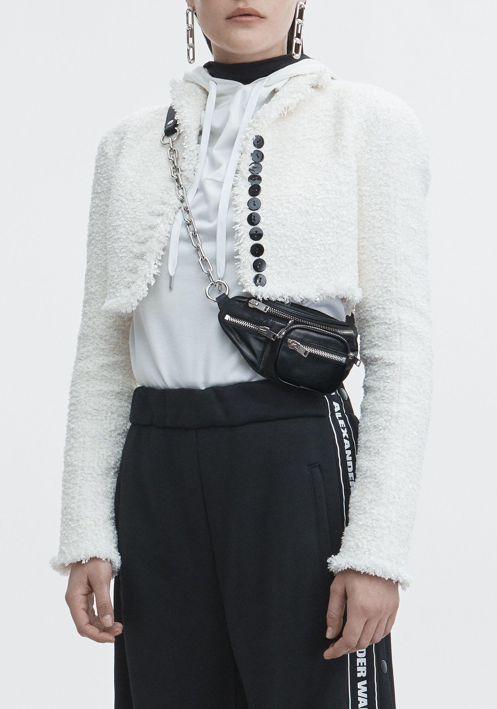 Alexander wang mini fanny new arrivals