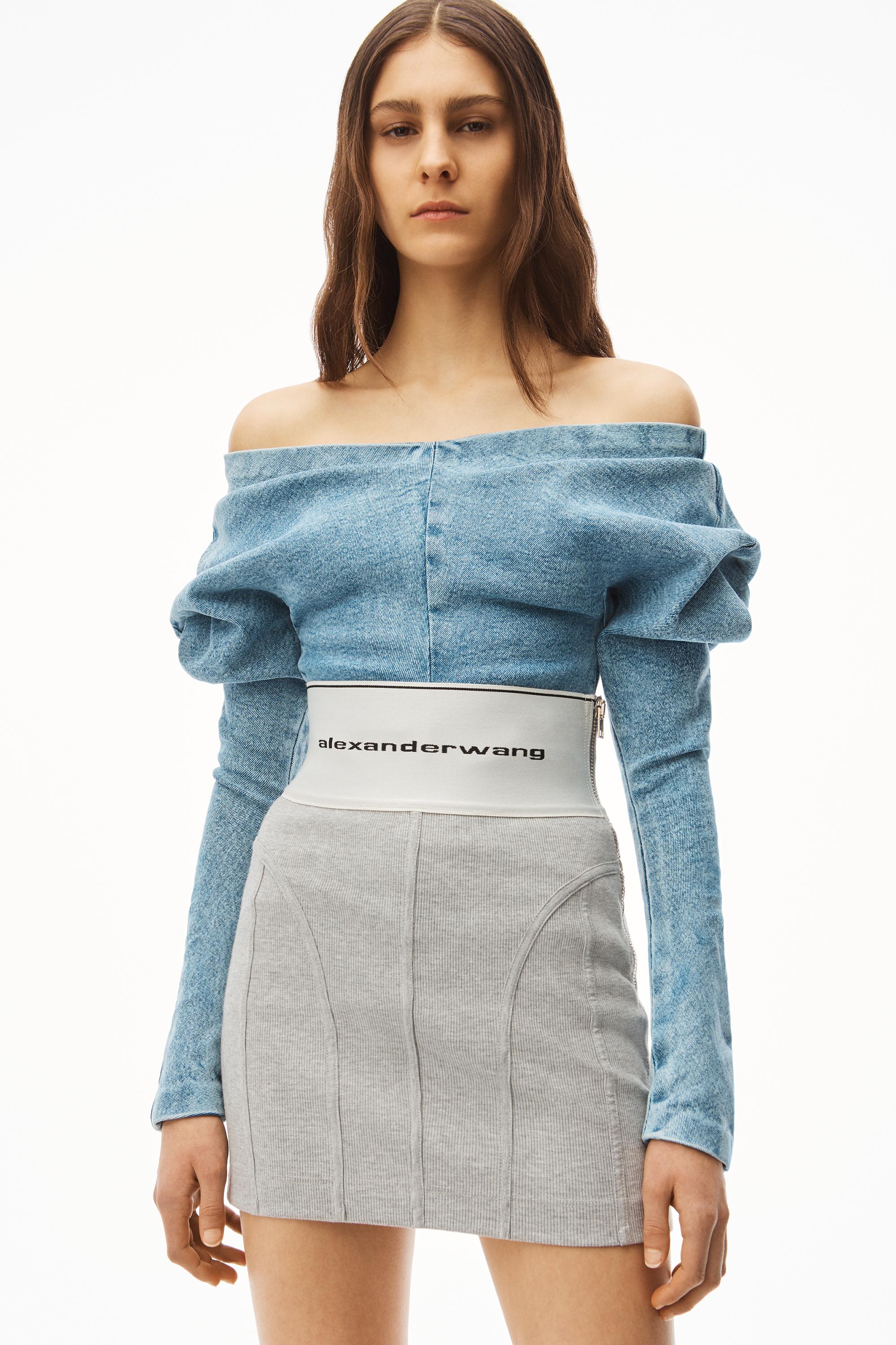 Alexander wang skirt deals