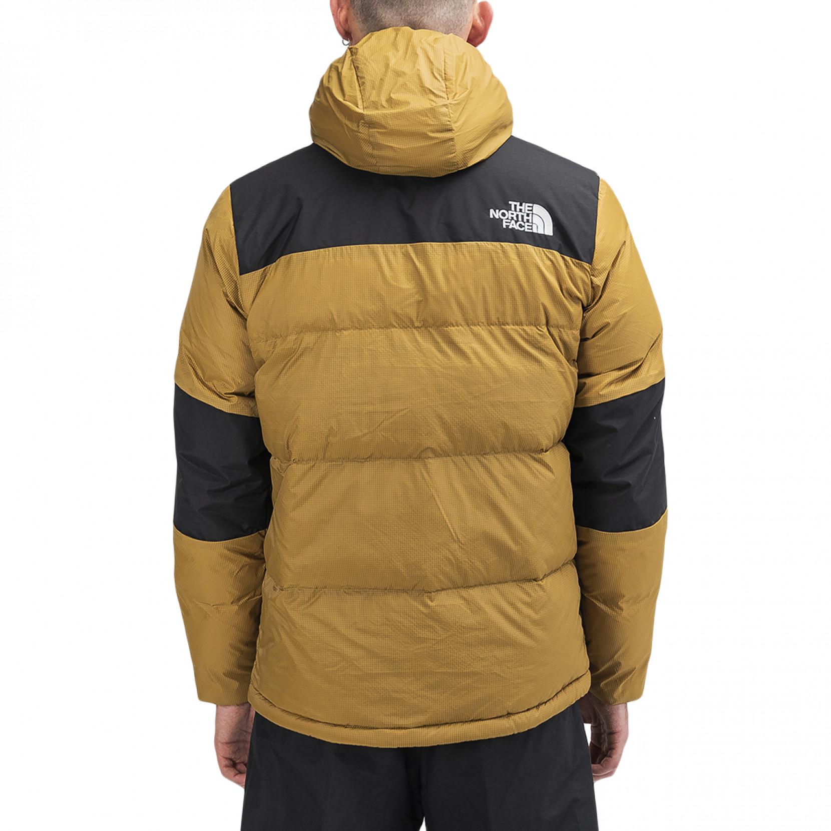 the north face him light down hood