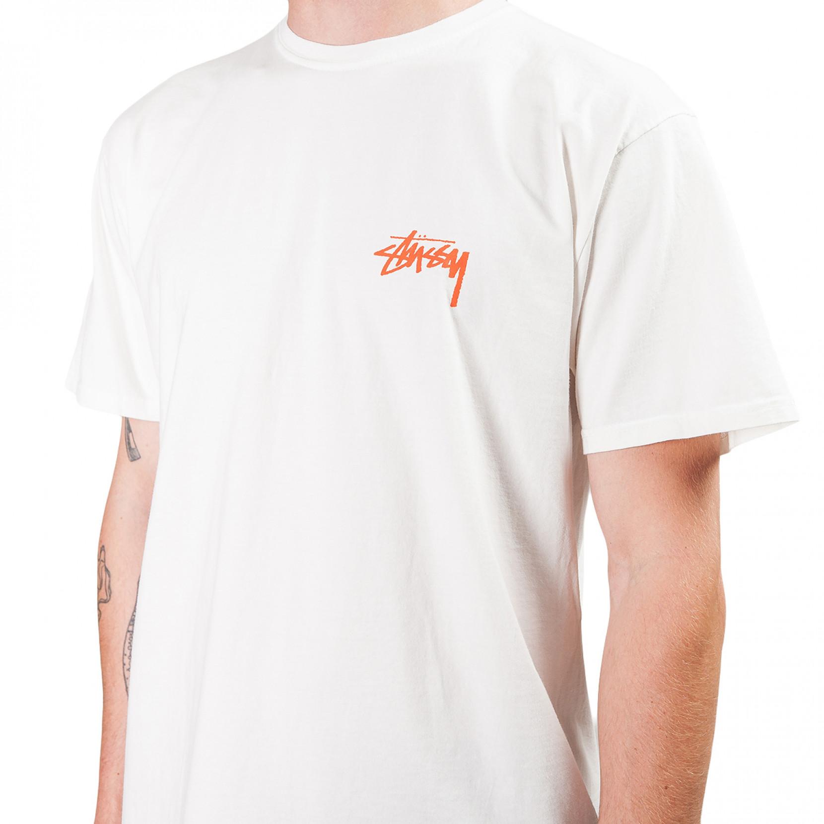 Stussy Cotton Painter Tee in Beige 
