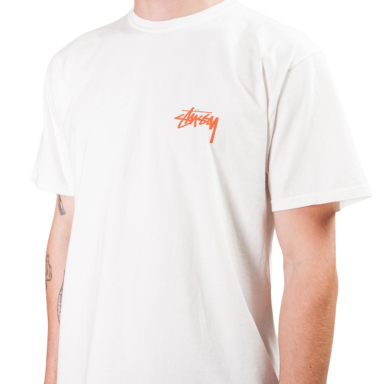 stussy painter tee