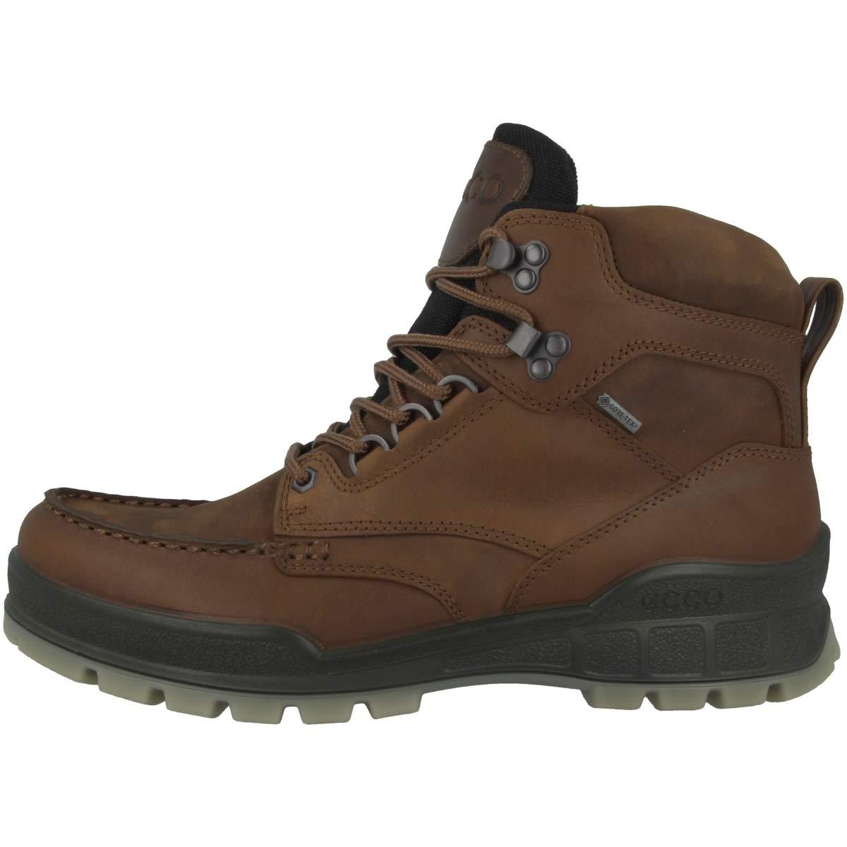 Ecco Track 25 High Gore-tex Waterproof Outdoor Hiking Boot in Brown for ...
