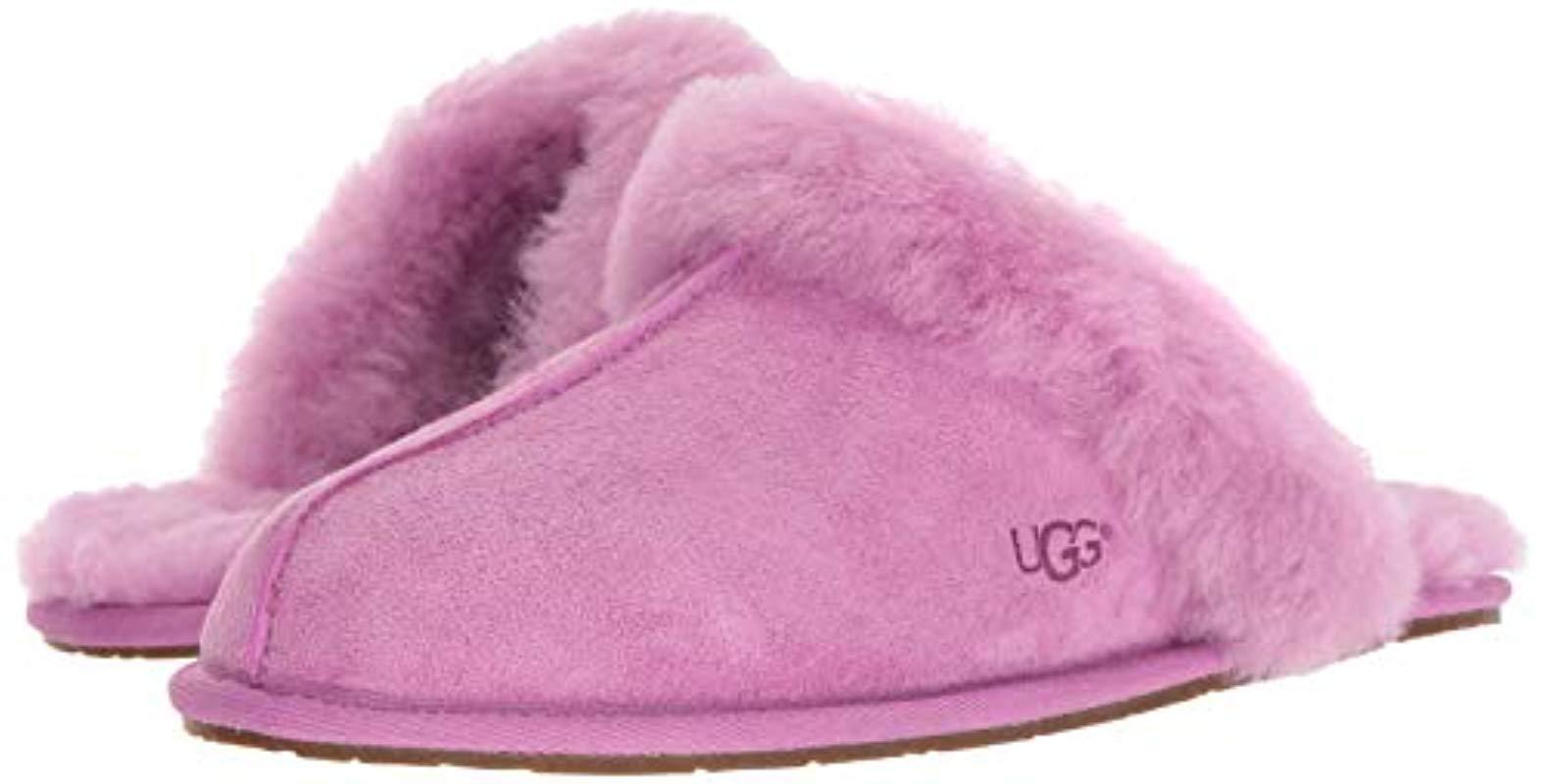ugg scuffette pink slippers