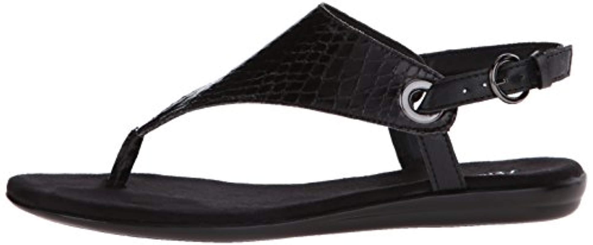 conchlusion gladiator sandal