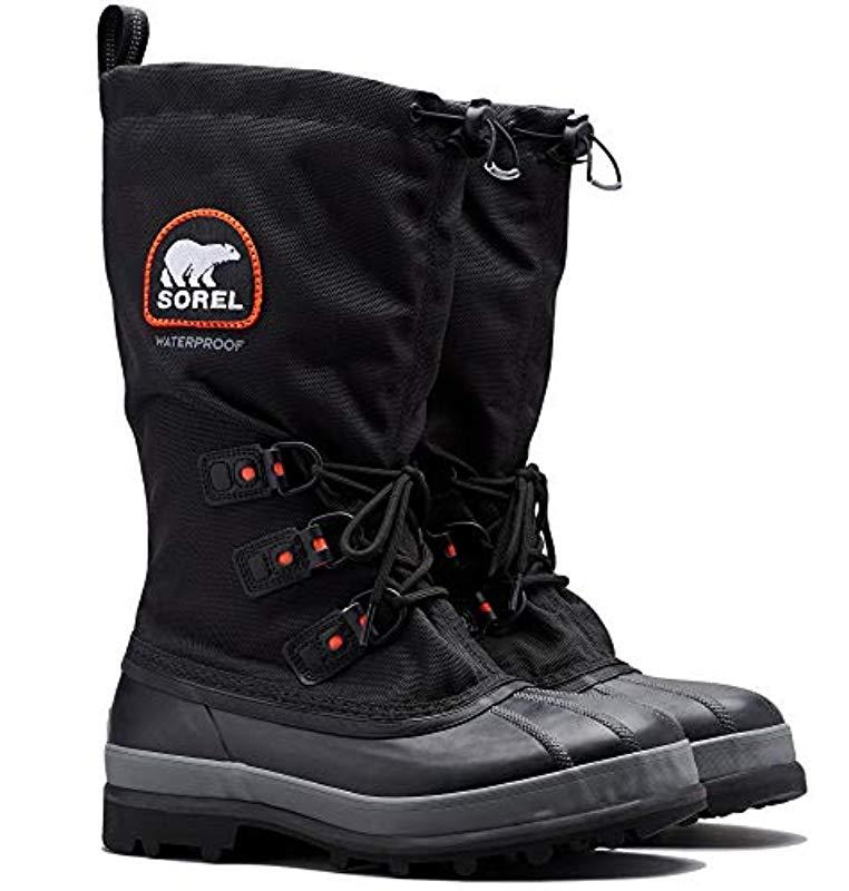 sorel bear