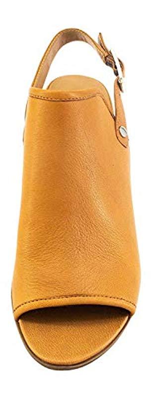 franco sarto humour