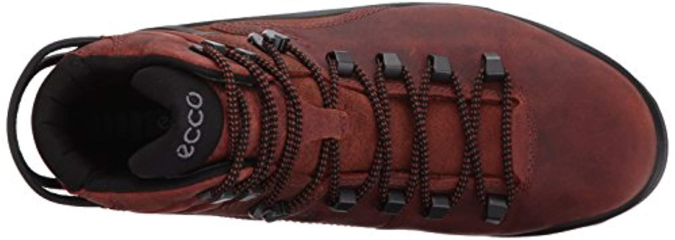 ecco terra evo boots