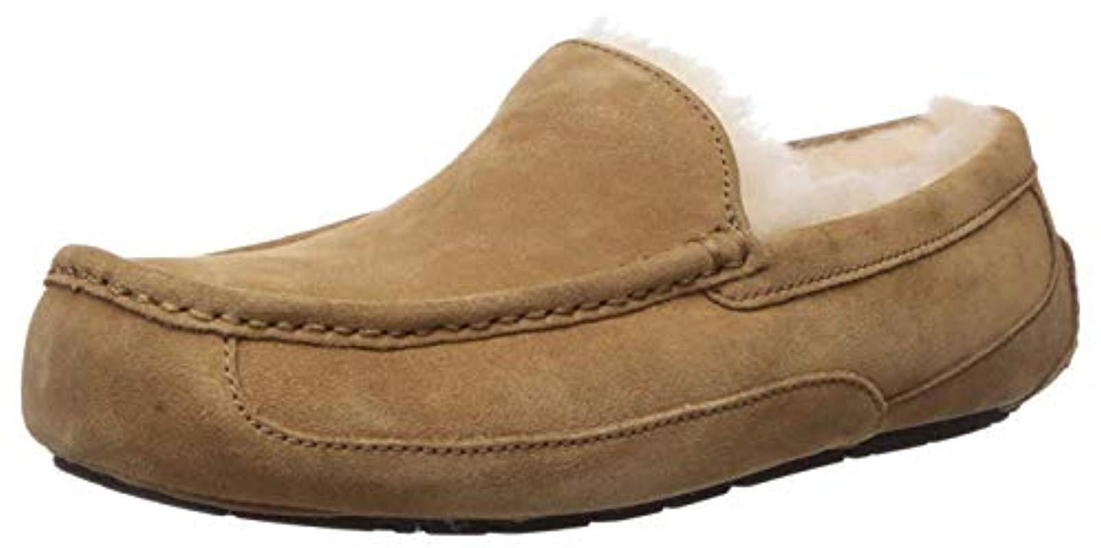 ugg ascot bomber slipper