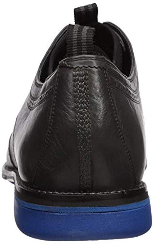 holland long wing oxford