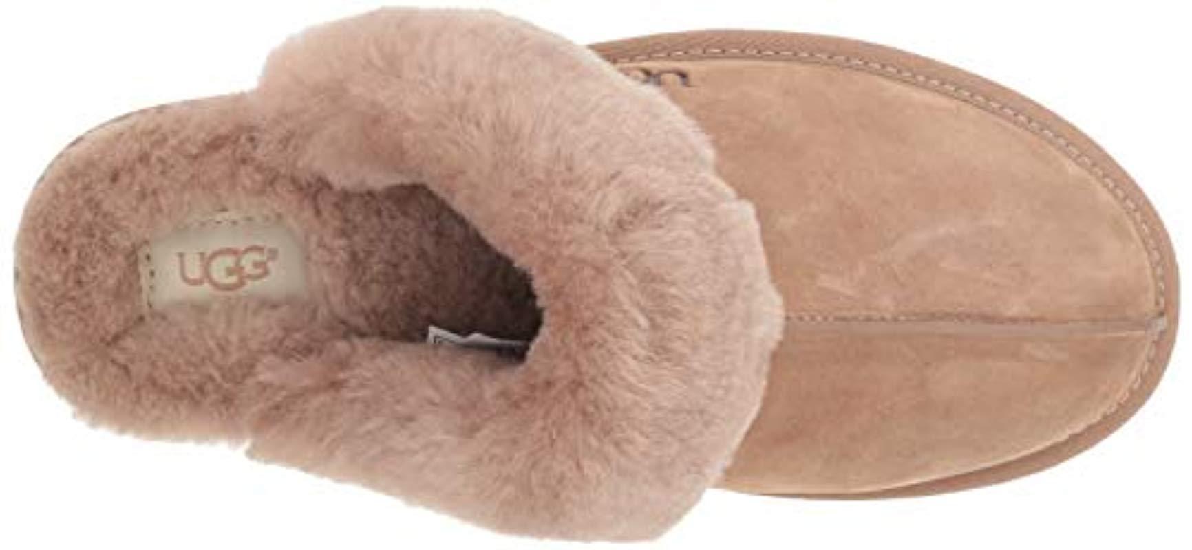 ugg scuffette ii fawn