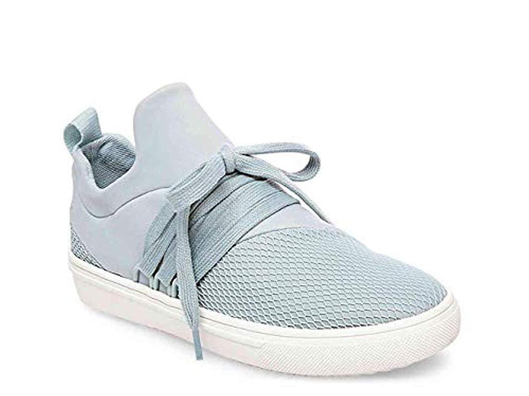 steve madden sneakers lancer