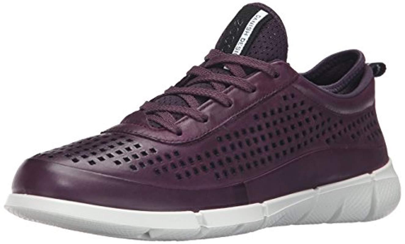 ecco intrinsic purple