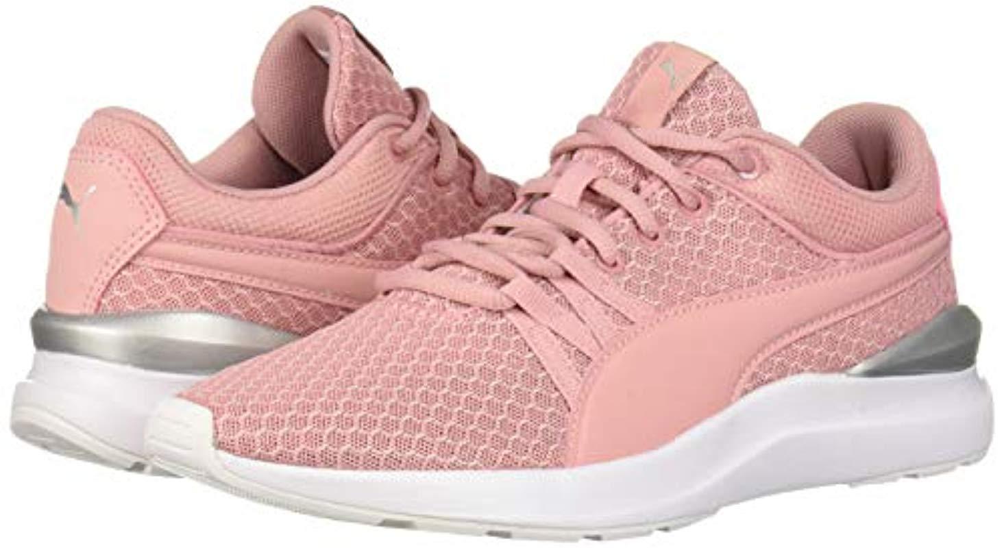 puma blaze of glory w dogwood rose puma blaze of glory w dogwood rose