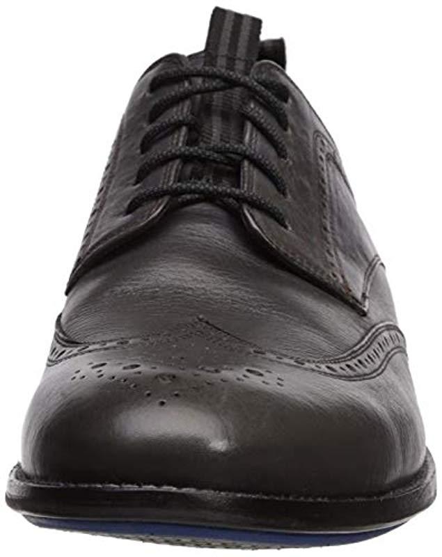 holland long wing oxford