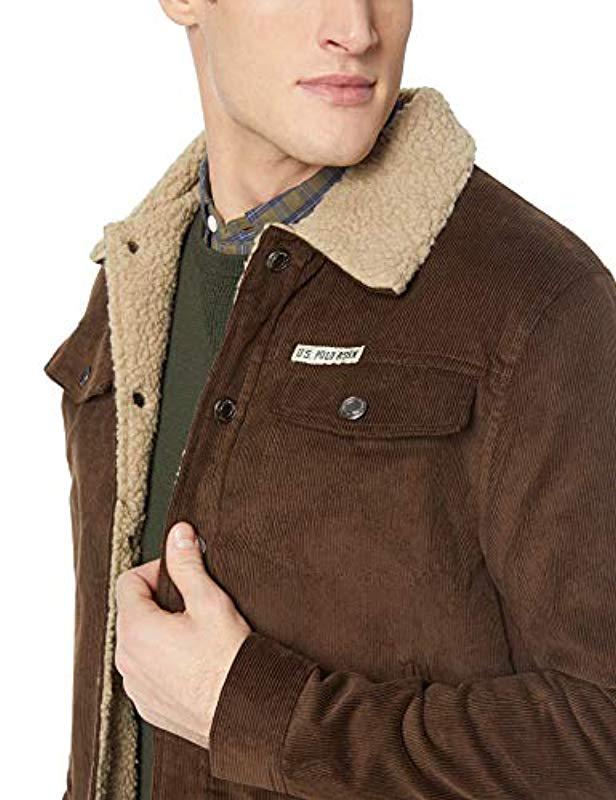 brown polo jacket