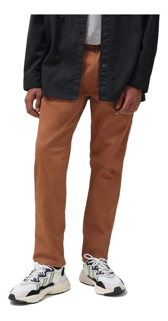 levi carpenter pants