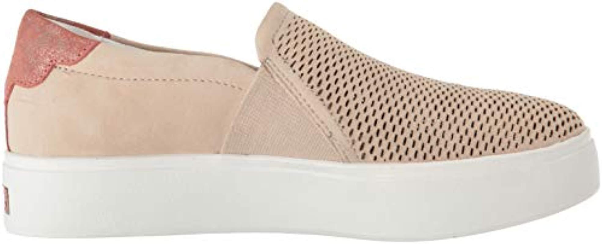 dr scholls abbot