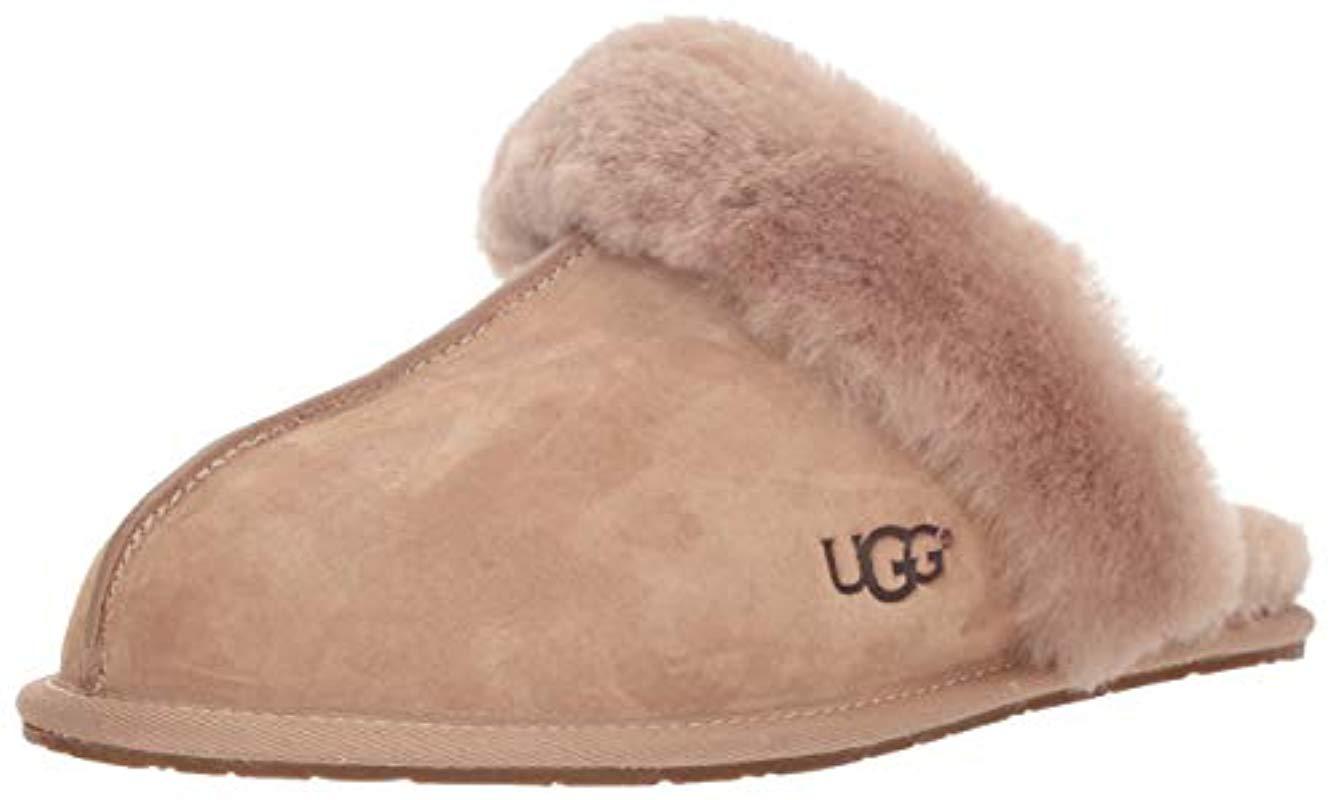 ugg scuffette slippers fawn