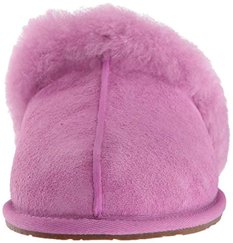 ugg scuffette bodacious