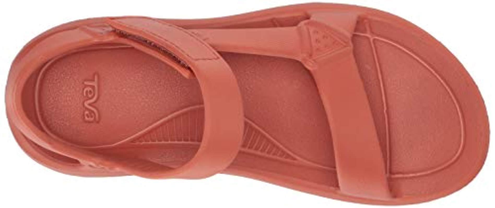 teva hurricane mango