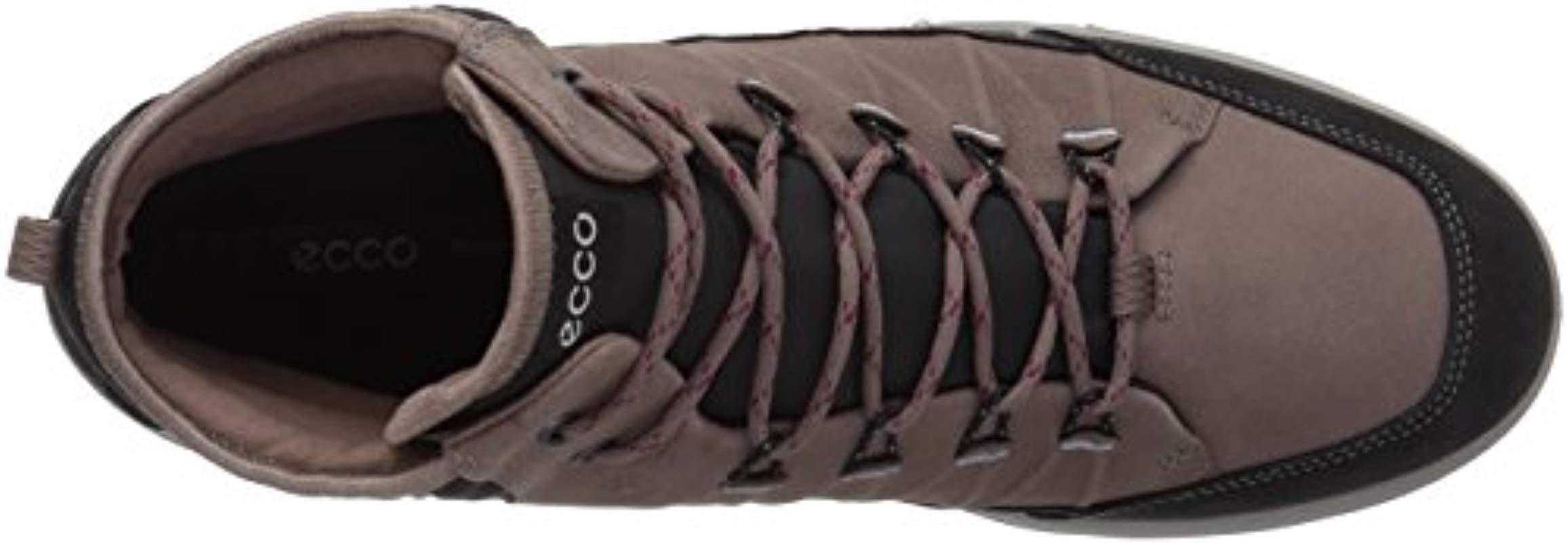 ecco aspina moonless