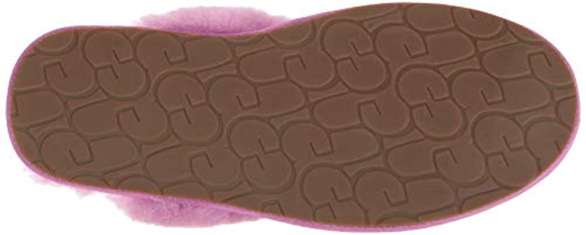 ugg scuffette slippers bodacious