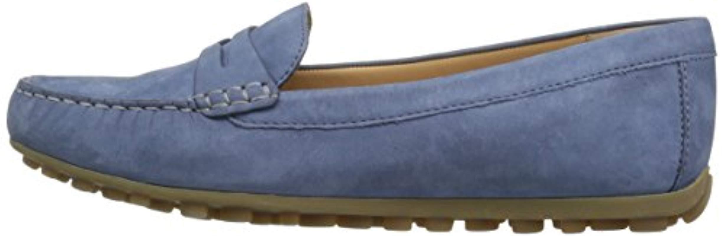 ecco devine moc